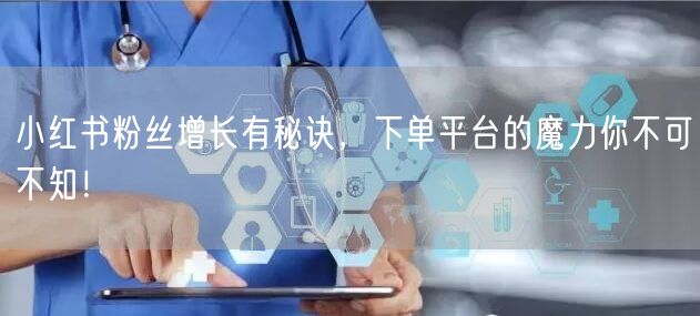 小红书粉丝增长有秘诀，下单平台的魔力你不可不知！