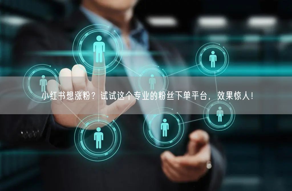 小红书想涨粉？试试这个专业的粉丝下单平台，效果惊人！