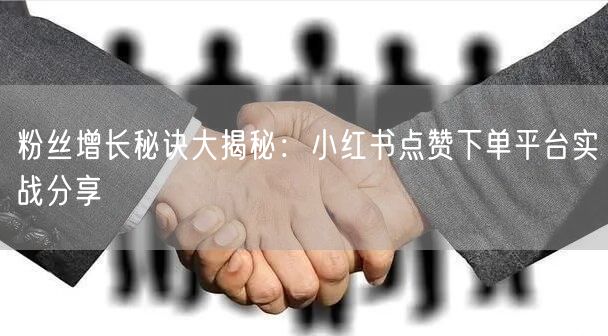 粉丝增长秘诀大揭秘：小红书点赞下单平台实战分享