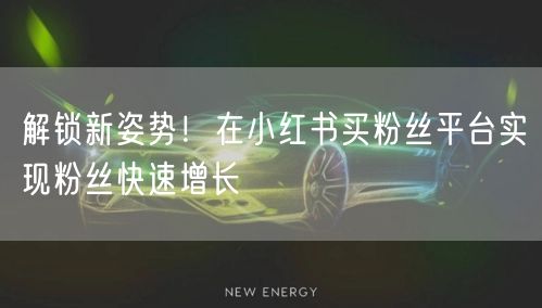 解锁新姿势！在小红书买粉丝平台实现粉丝快速增长