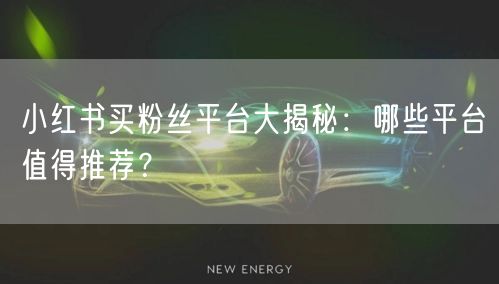 小红书买粉丝平台大揭秘：哪些平台值得推荐？