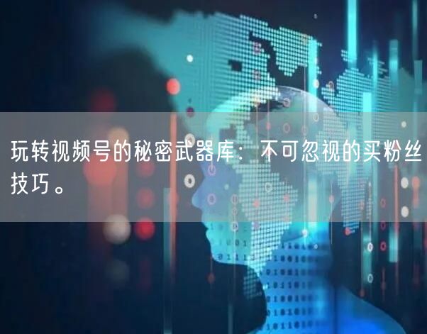 玩转视频号的秘密武器库：不可忽视的买粉丝技巧。
