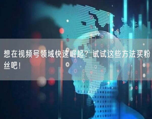 想在视频号领域快速崛起？试试这些方法买粉丝吧！