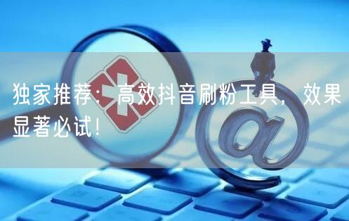 独家推荐：高效抖音刷粉工具，效果显著必试！