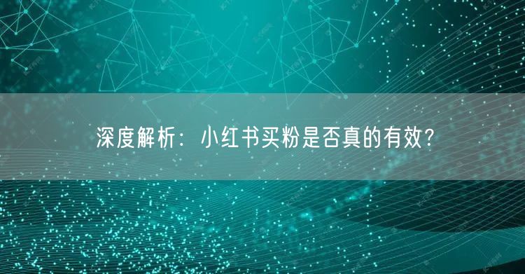 深度解析：小红书买粉是否真的有效？