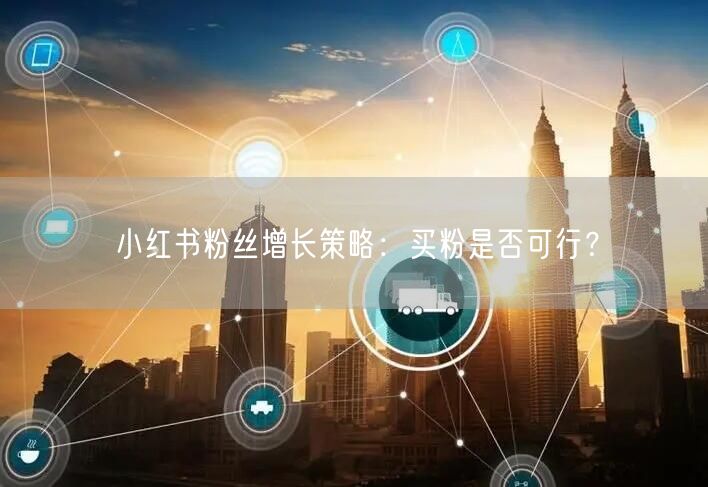小红书粉丝增长策略：买粉是否可行？