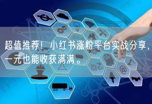 超值推荐！小红书涨粉平台实战分享，一元也能收获满满。