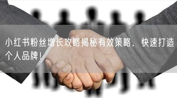 小红书粉丝增长攻略揭秘有效策略，快速打造个人品牌！