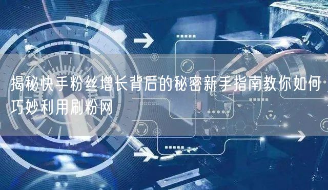 揭秘快手粉丝增长背后的秘密新手指南教你如何巧妙利用刷粉网