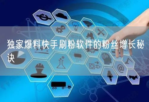 独家爆料快手刷粉软件的粉丝增长秘诀