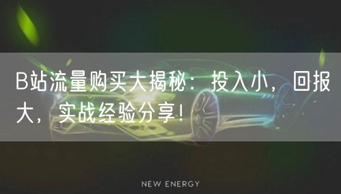 B站流量购买大揭秘:投入小,回报大,实战经验分享!