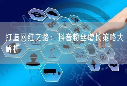 打造网红之路:抖音粉丝增长策略大解析