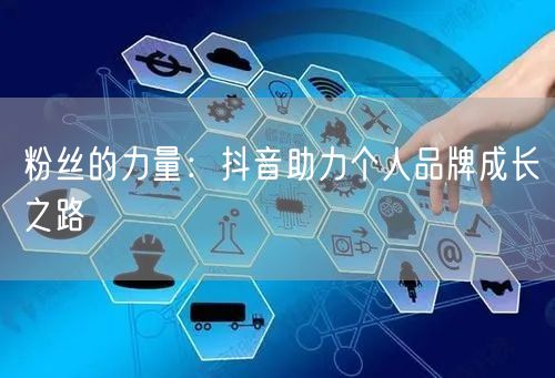 粉丝的力量:抖音助力个人品牌成长之路