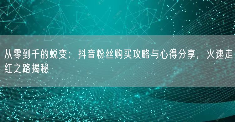 从零到千的蜕变：抖音粉丝购买攻略与心得分享，火速走红之路揭秘